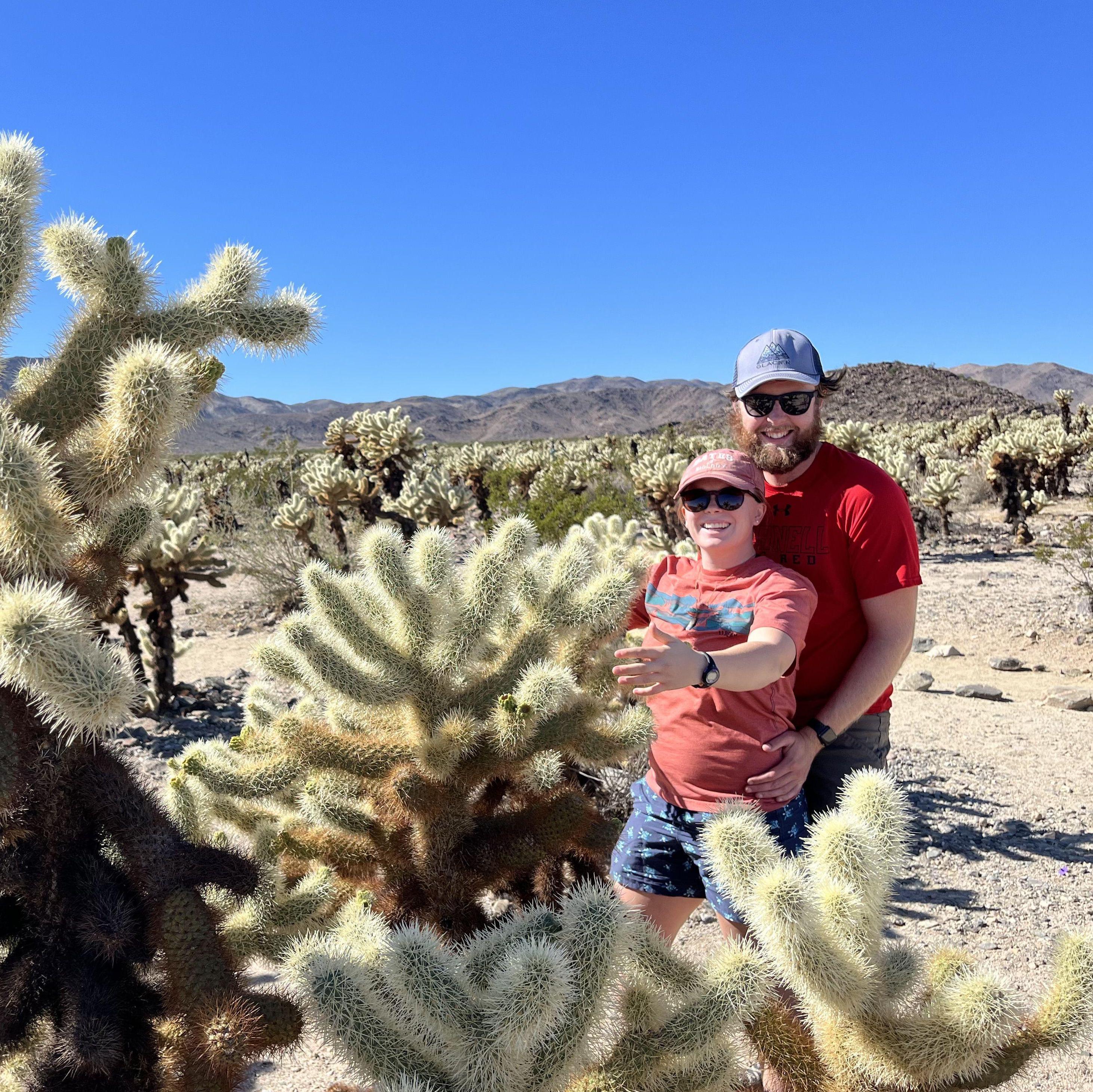 Hugging cacti in Joshua Tree National Park