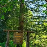 Mt. Madonna County Park