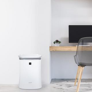 Plasmacluster Ion Air Purifier