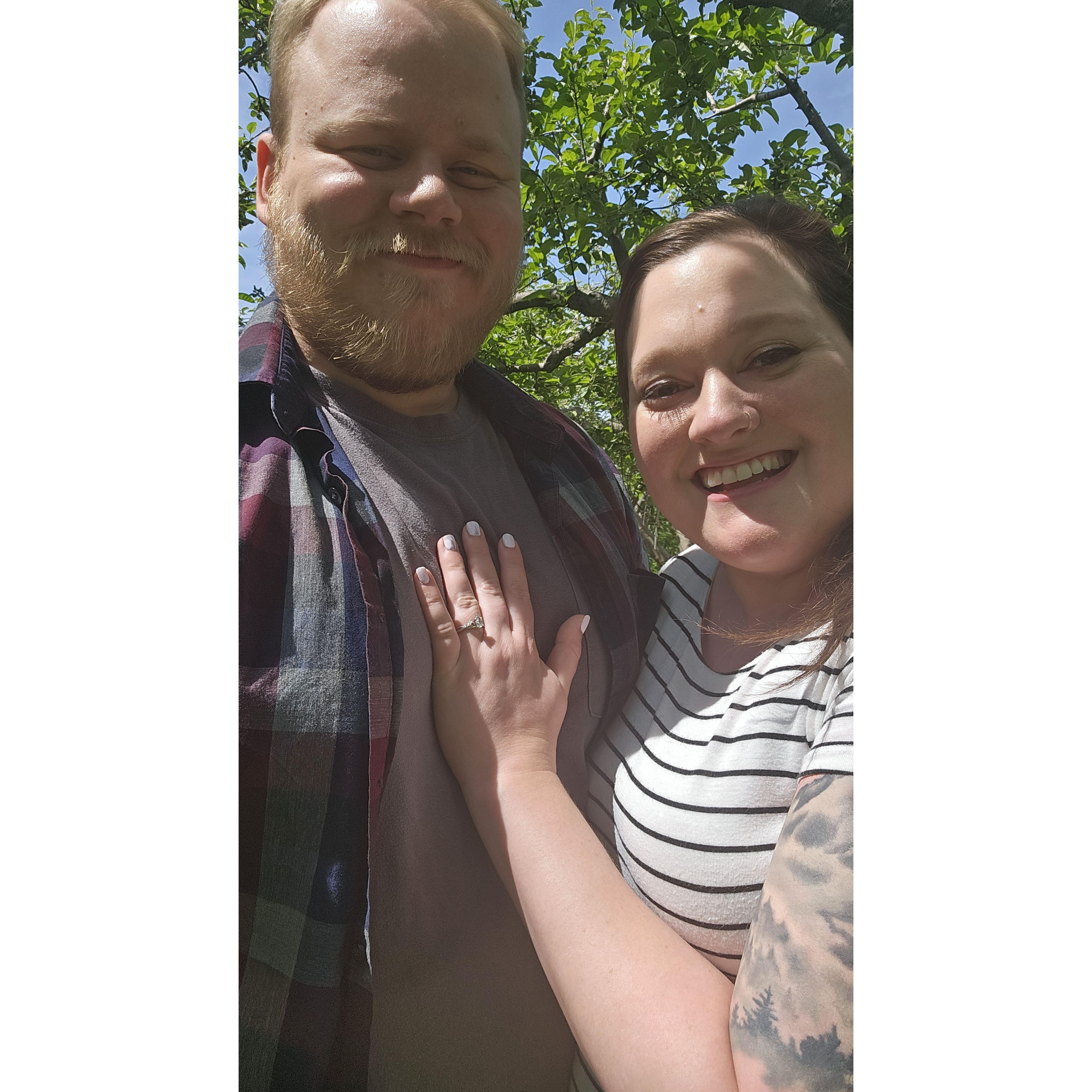 Eventually Johnny got to propose without interruption and Beth said yes! -Chicago Botanic Garden in the apple orchard
