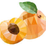 Apricot Stone