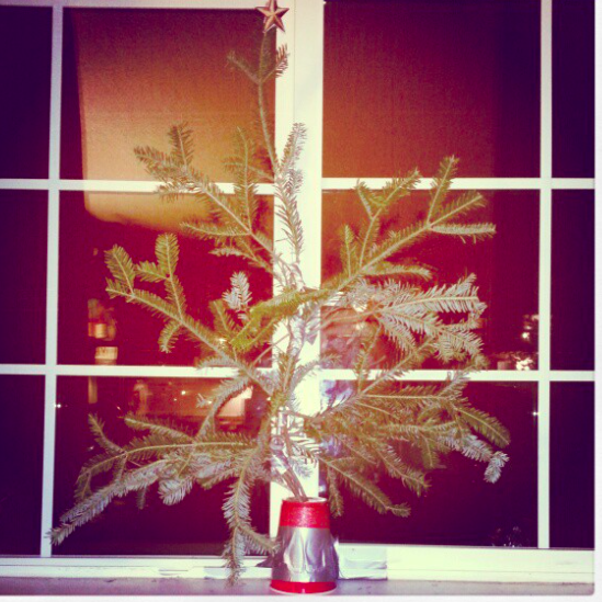 Our wonderful little Christmas tree! -- Winter 2012