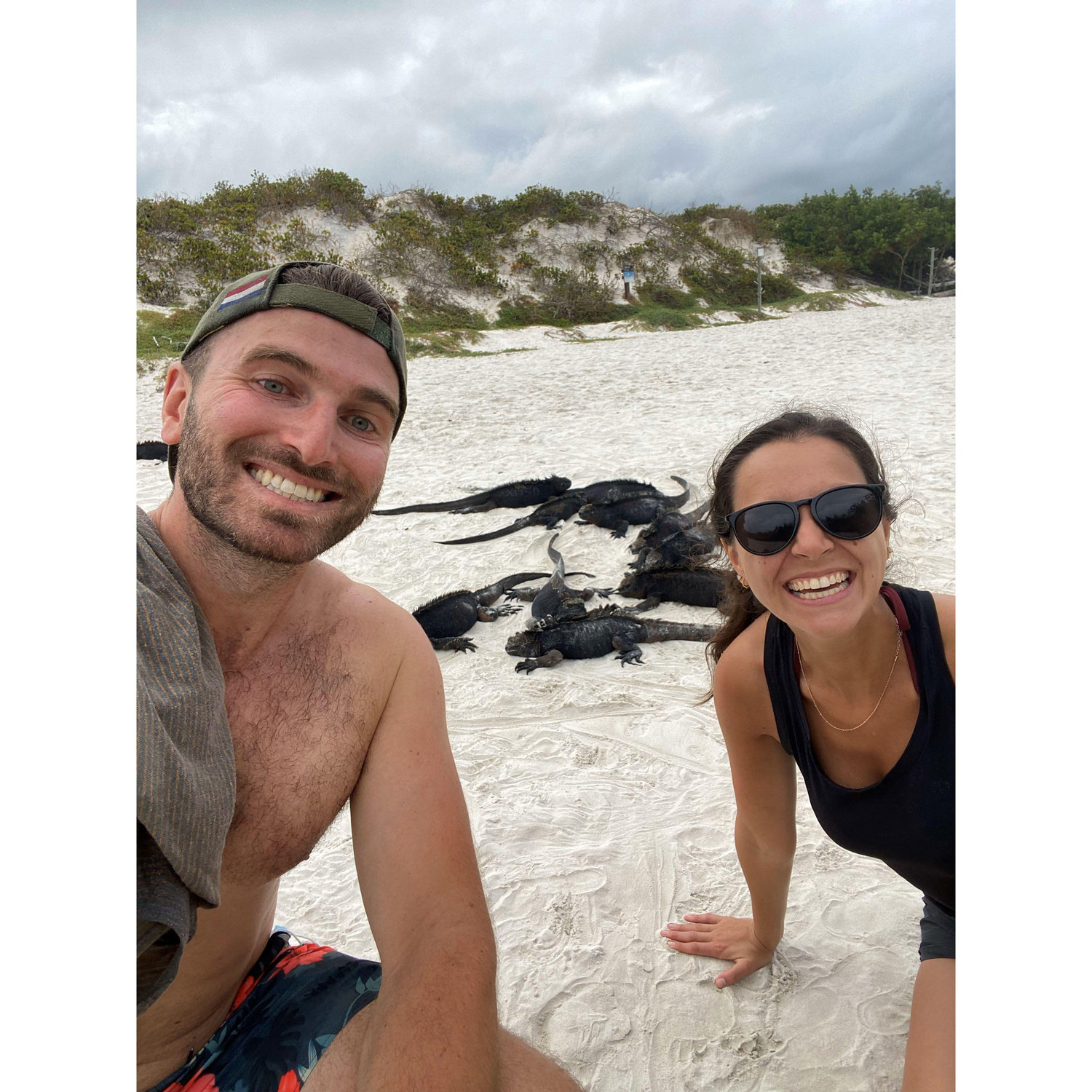 Marine iguanas, aka Anna's obsession