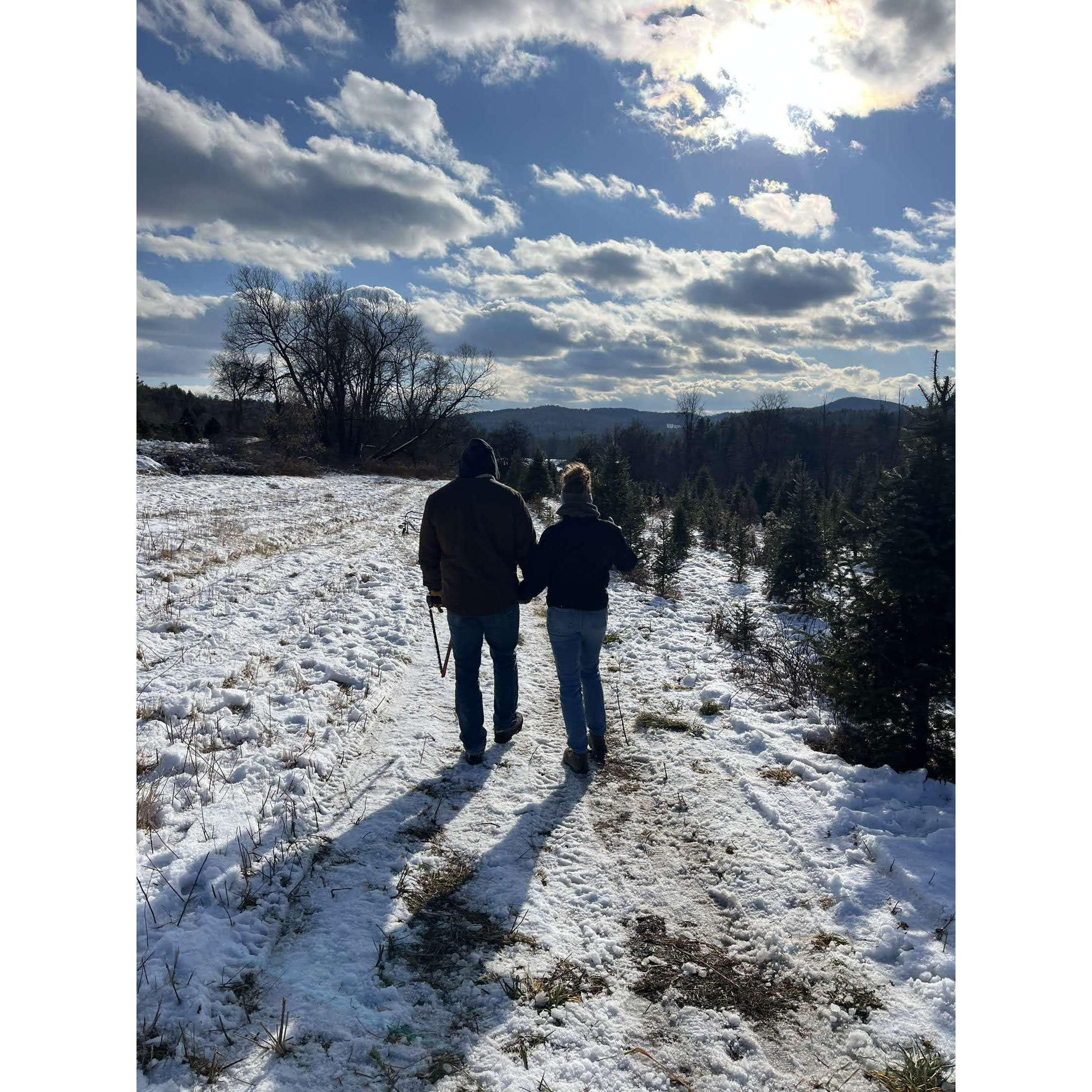 Picking out a Christmas Tree with Tyler's family