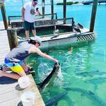 Robbie's of Islamorada