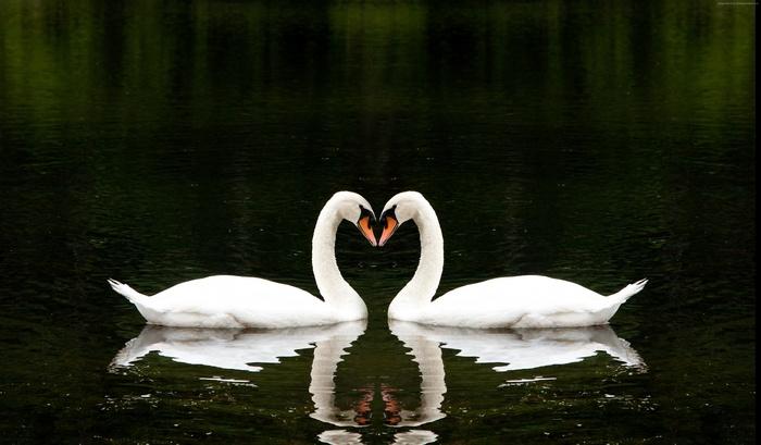 The Wedding Website of Nancy Vanessa Godoy and Angel Moreno