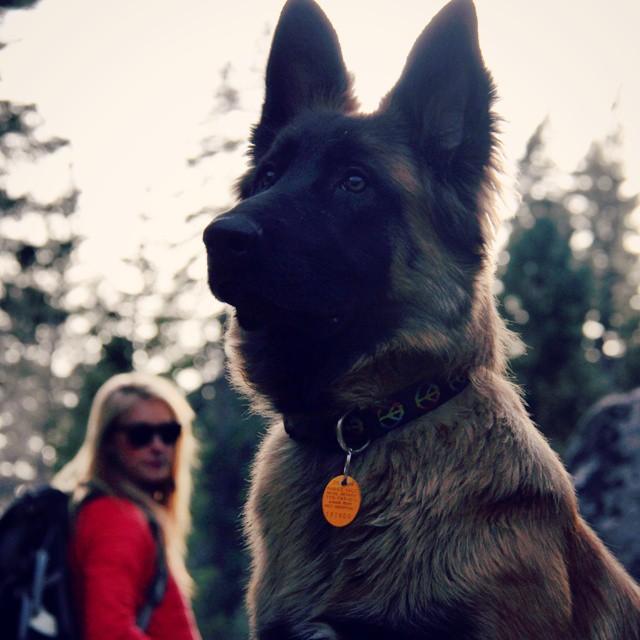 Hiking in Tahoe, 2014