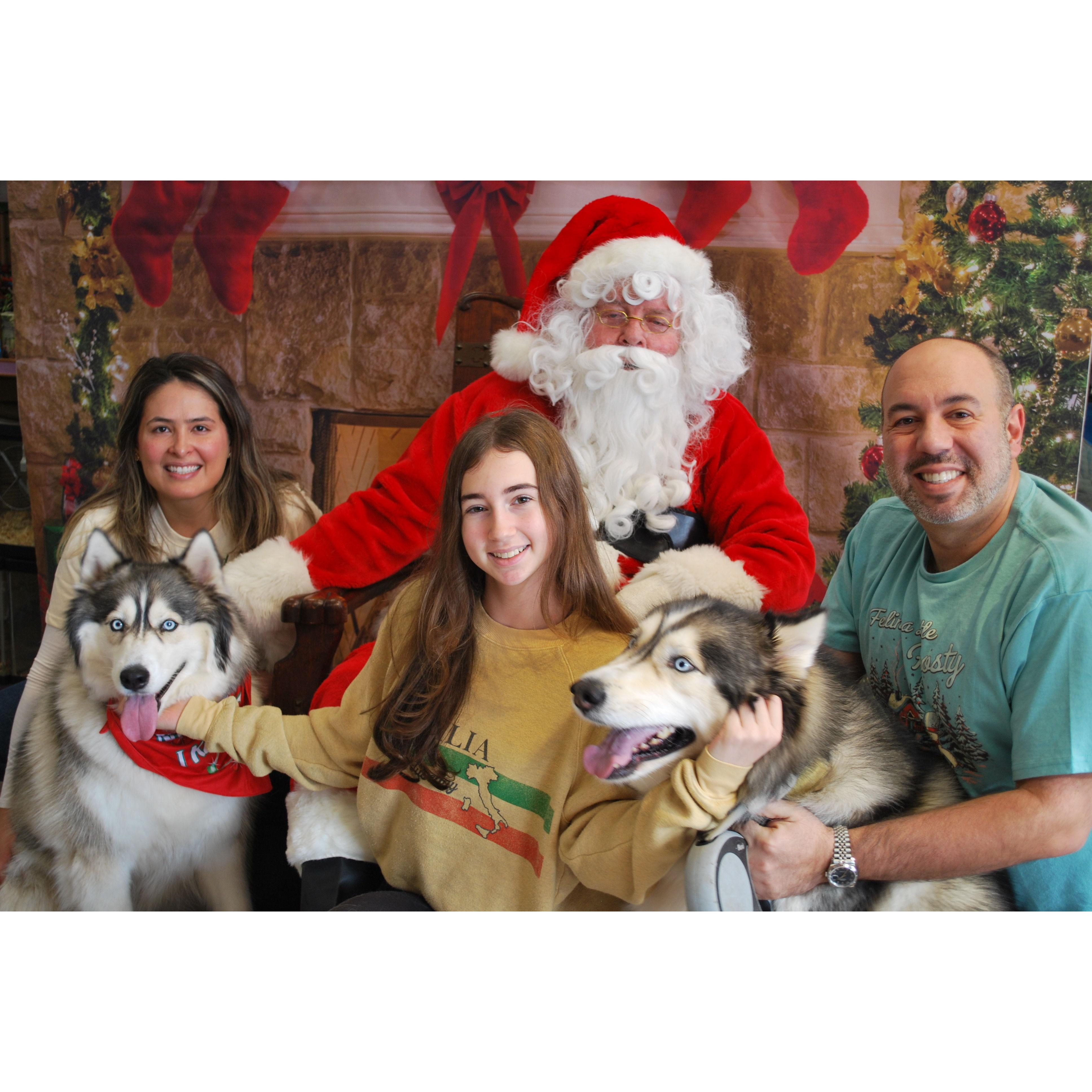Puppies meet Santa