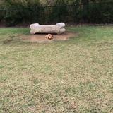 Rush Creek Dog Park