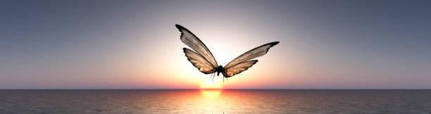 fa4ce378-0e1a-492b-ade4-408b8bc9ec03