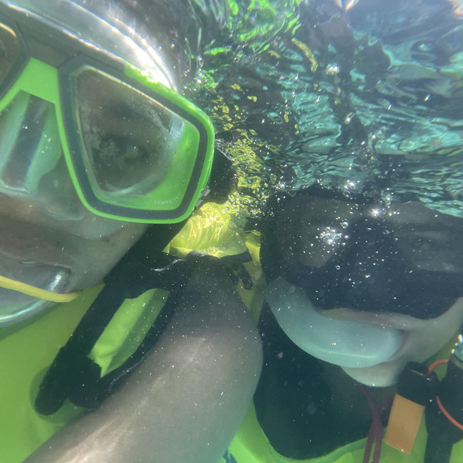 We love the ocean and the beach!