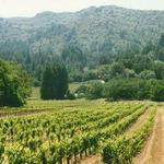 Jack London State Historic Park