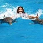 Dolphin Encounters