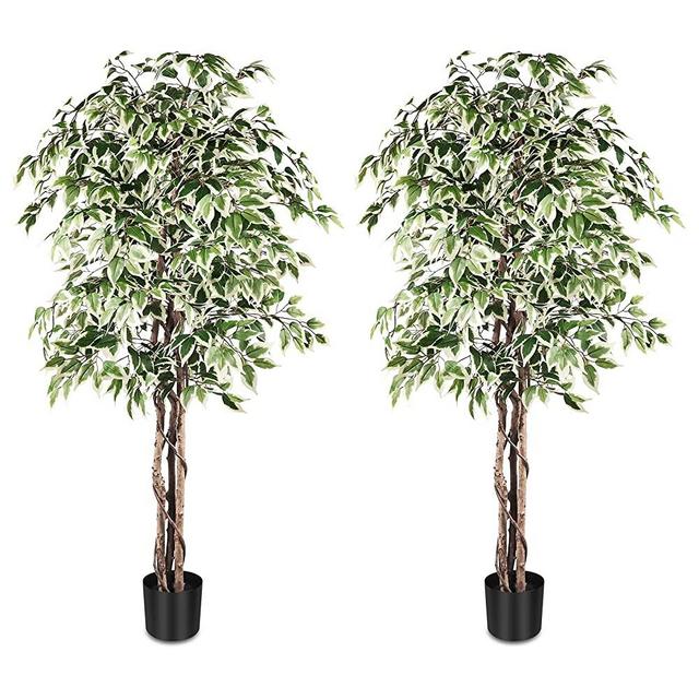AnTing 6ft Ficus Silk Artificial Trees, Ficus Tree Artificial with Real Trunks & Green White Leaves, Faux Tree Indoor with Pot for Living Room Garden Office Home Decor (1 Pair)