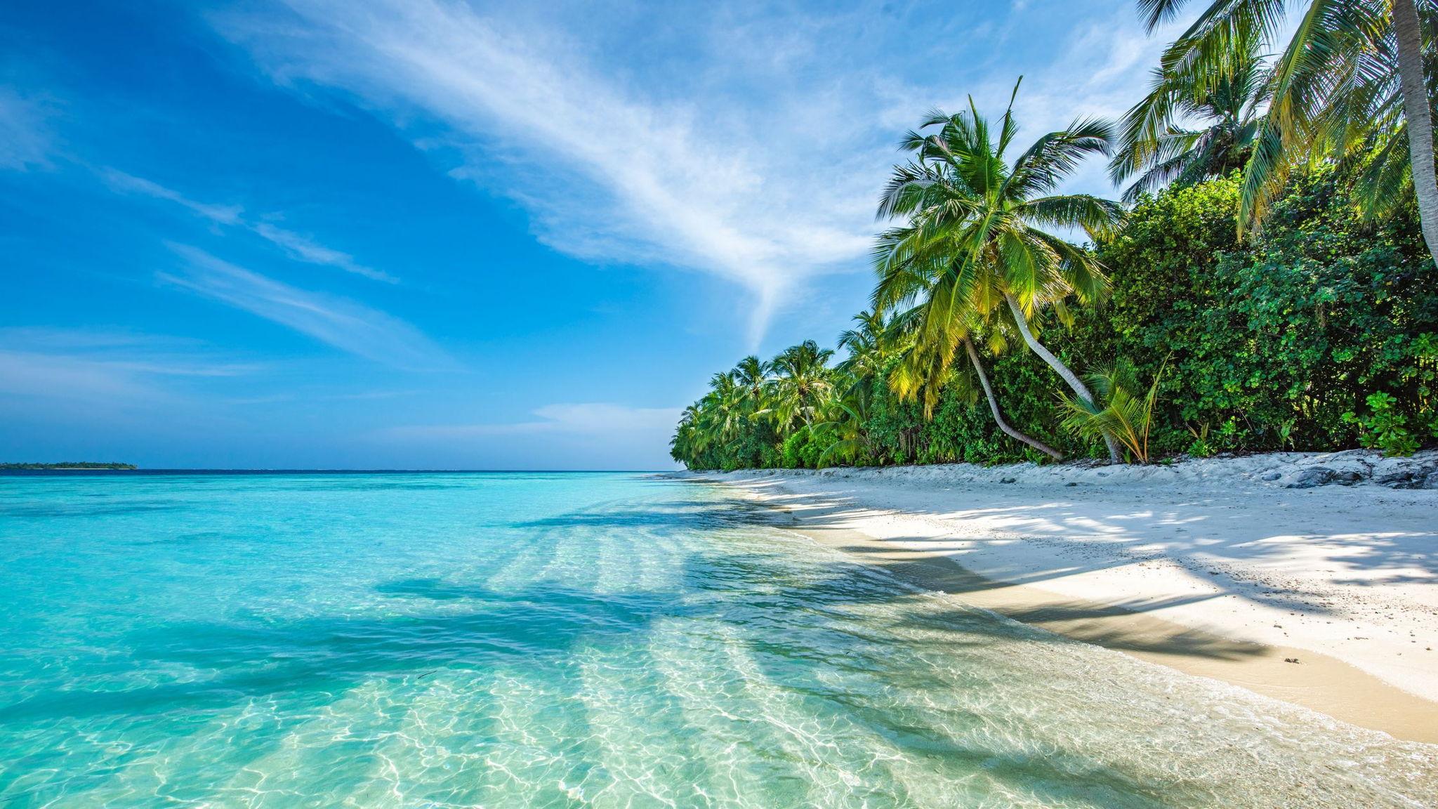 fa5370e5-4fac-4dfa-a5a6-abc07306fdd9