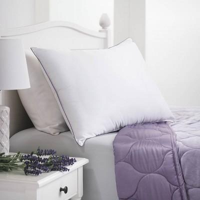Standard Lavender Infused Microfiber Bed Pillow - Dream Infusion