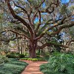 Washington Oaks Gardens State Park