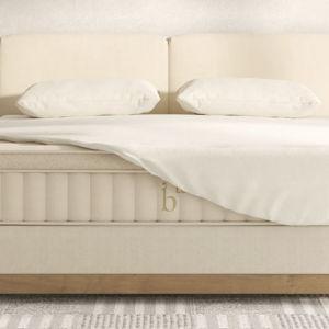 Birch Organic Pillow