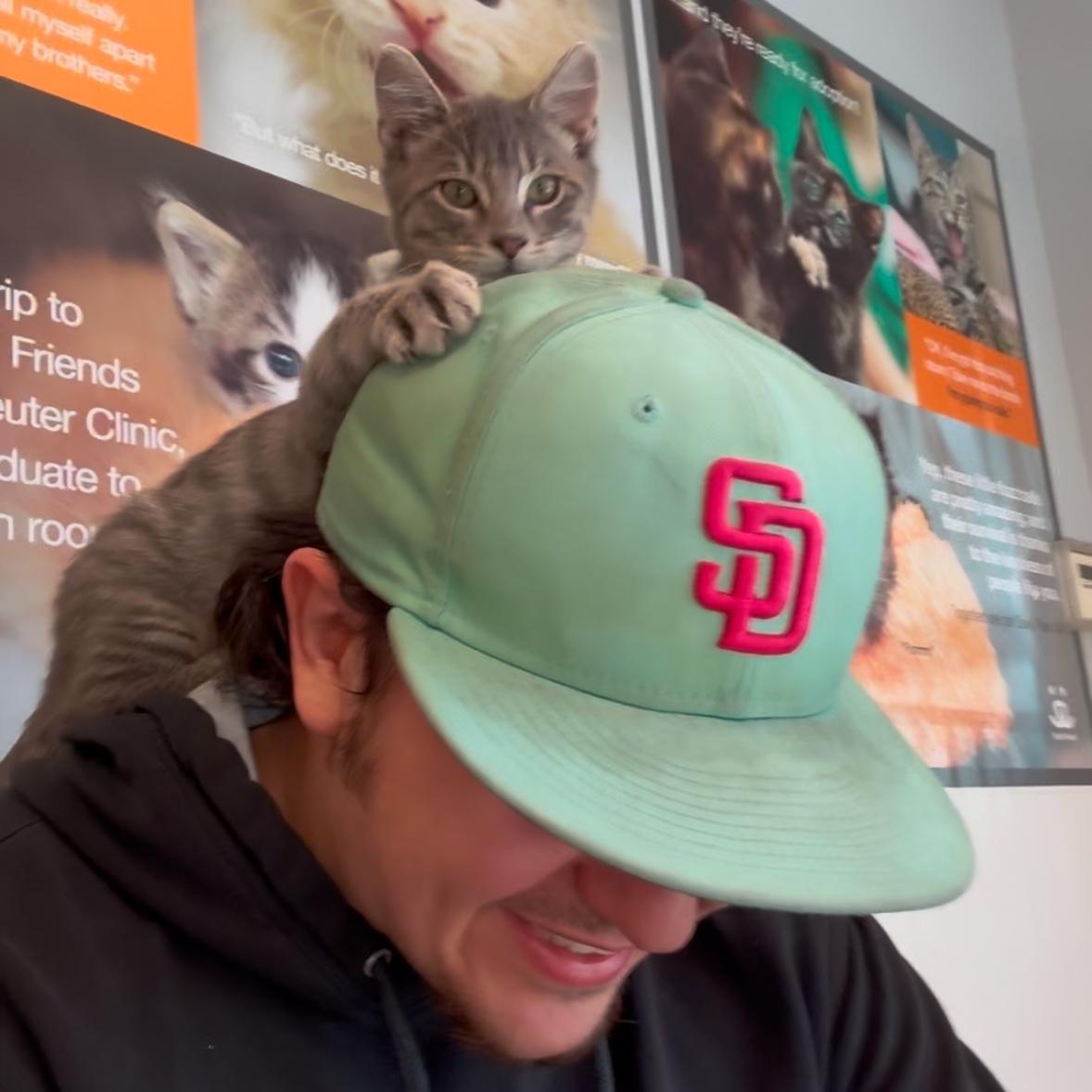 The day we met Benny. We didn't choose a cat, he chose us instead!