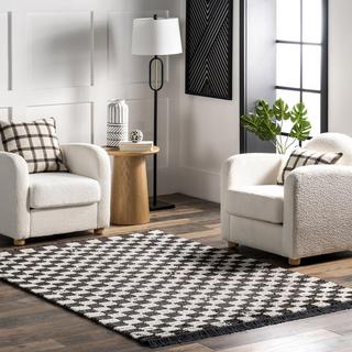 Pania Checkered Fringe Area Rug