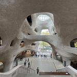 American Museum of Natural History