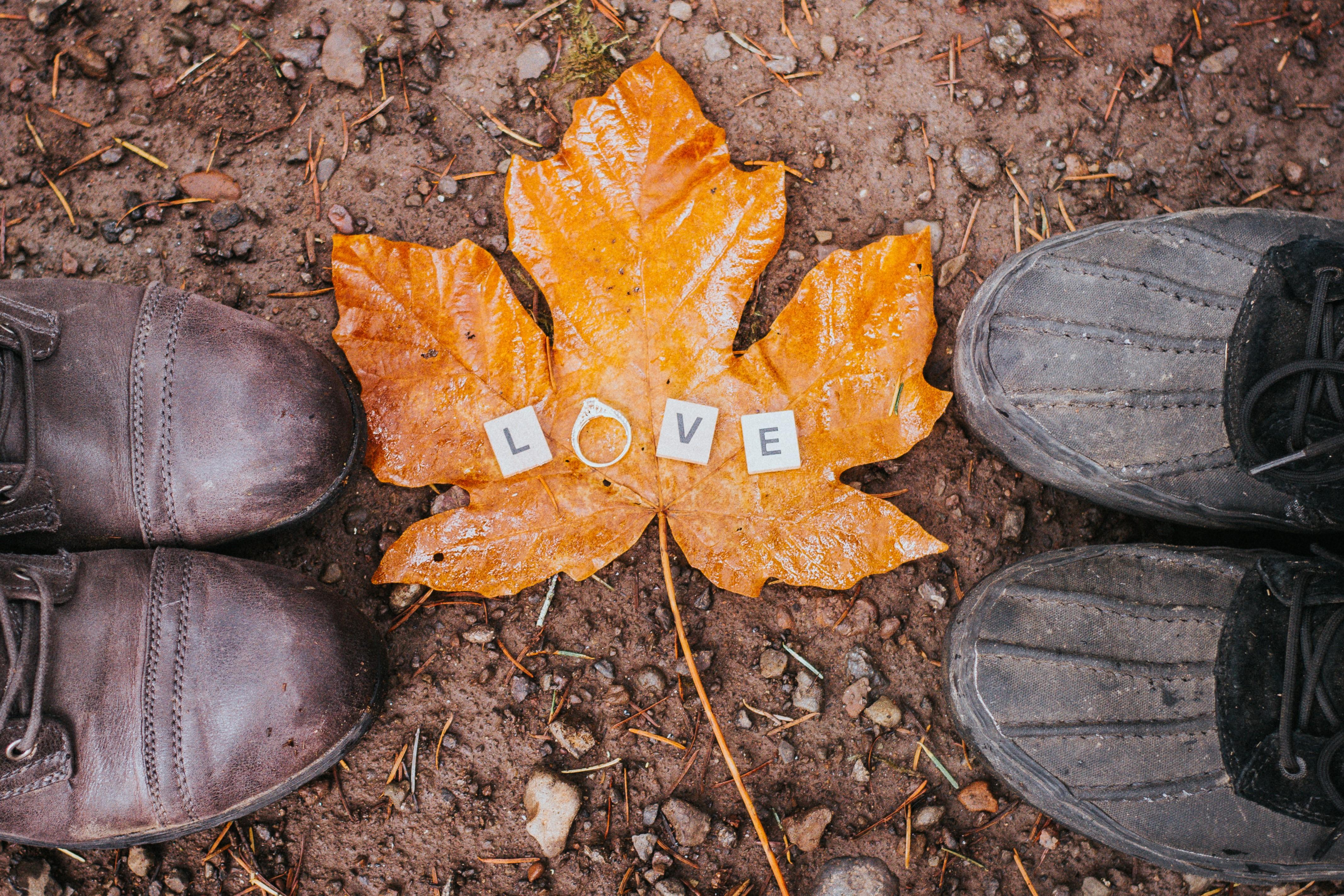 The Wedding Website of Tara Osburn and Grant Snyder