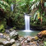 El Yunque