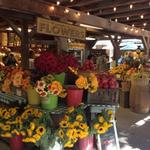 Avila Barn