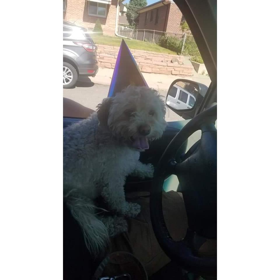 Dunkin even participates in charities with us! Birthday parades and therapy hikes for the disabled.