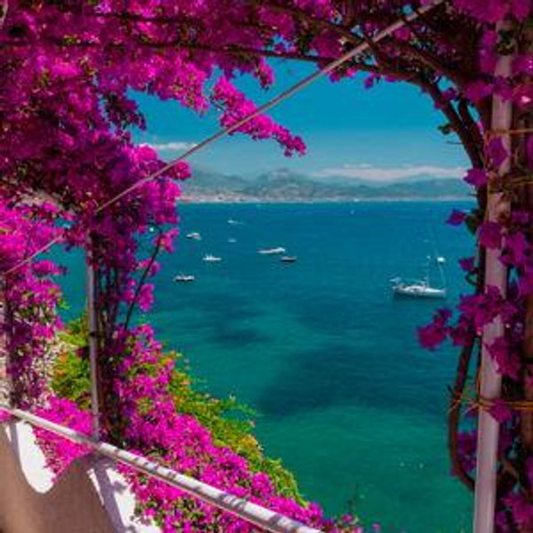 Honeymoon fund