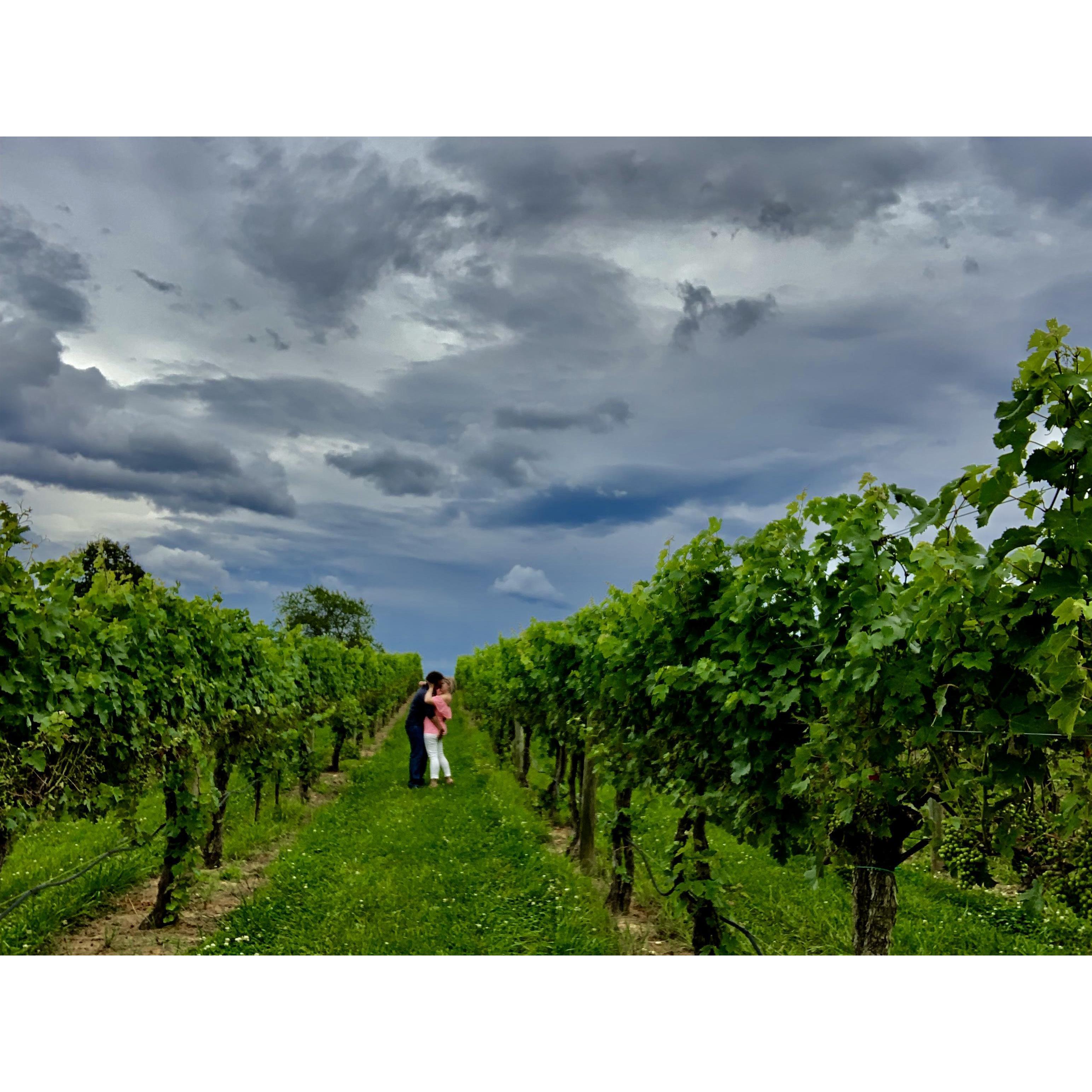 Celebrating our engagement in the vineyards.