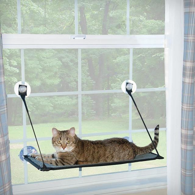 Kitty Window Perch