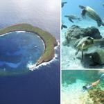 Pride of Maui - Molokini Snorkel Tour