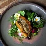Places to Eat in Asheville