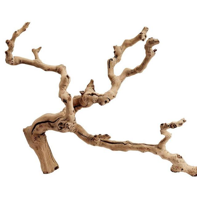 Dried Grapewood Branch, Natural, One