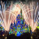 Walt Disney World