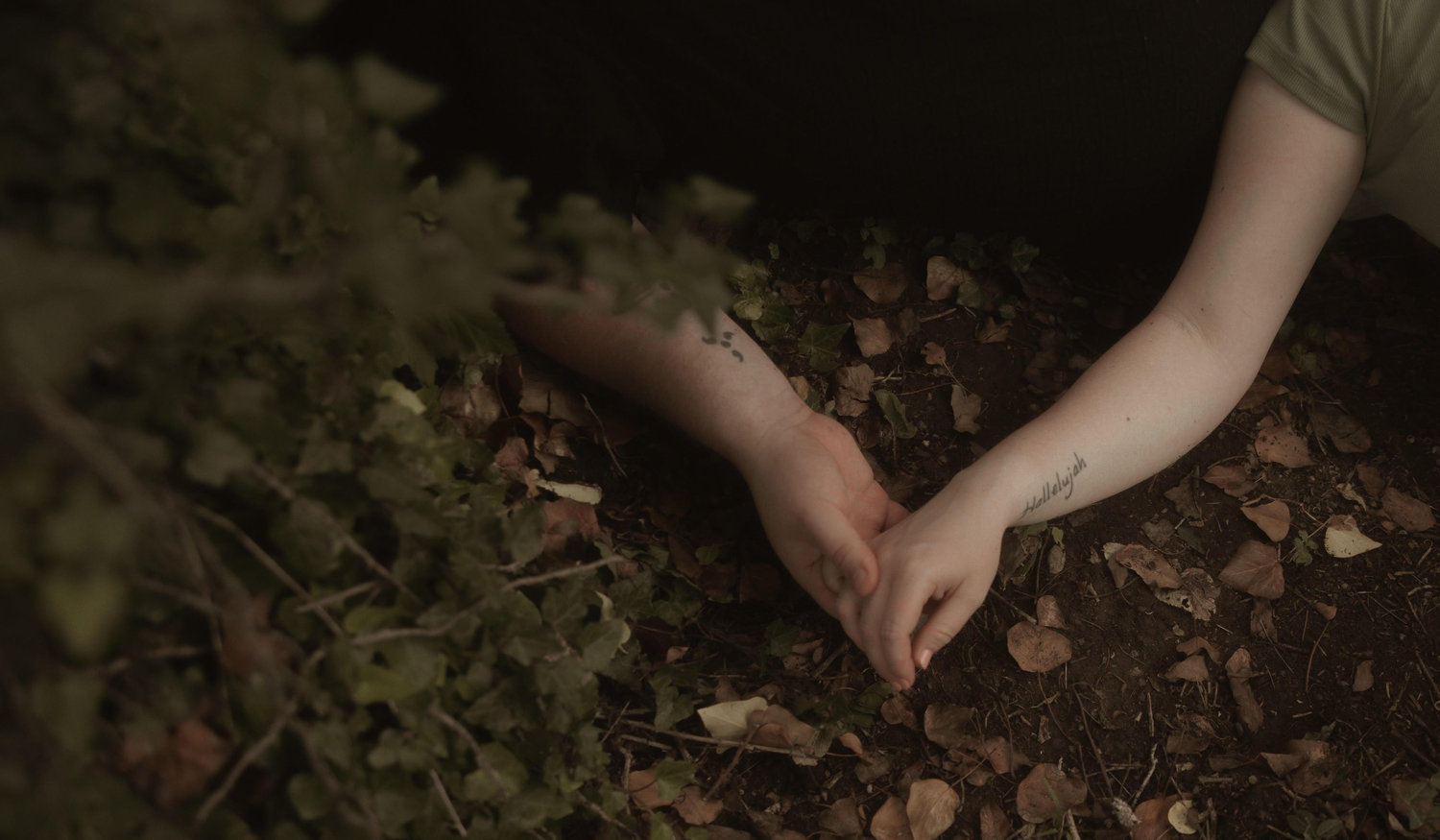 Footer image
