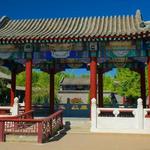 Golden Dragon Museum