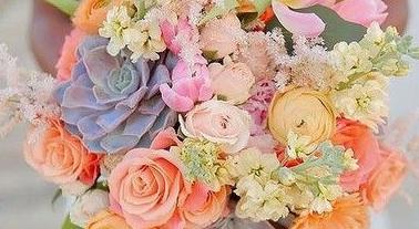 Footer image