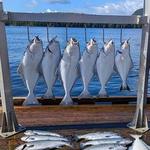 Fishing Charters