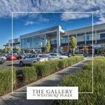 The Gallery At Westbury Plaza