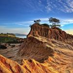 Torrey Pines State Reserve