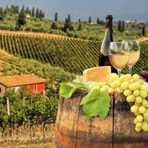 Honeymoon - Wine Tasting in Tuscany!