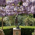 Tour the Famous Gardens of Villa Cimbrone
