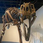 Buffalo Museum of Science