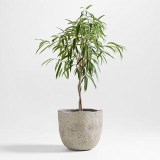 Cavo Textured Indoor/Outdoor Planter