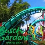 Busch Gardens Tampa Bay