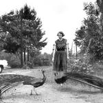 Andalusia: the Home of Flannery O'Connor