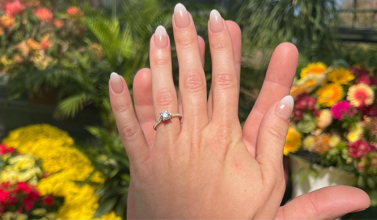 The Wedding Website of Katrina Nolan and Brandon Anderson