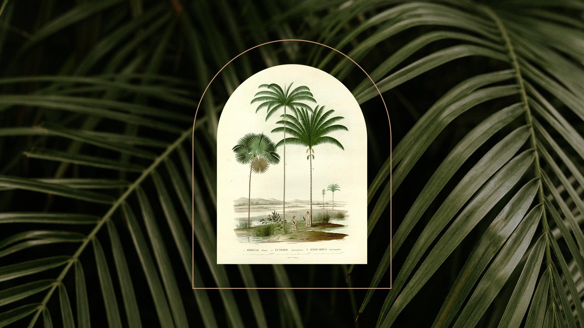 The Wedding Website of Devania Armogam and Tiaan Joubert